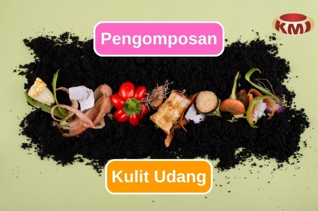 Membuat Kompos Kulit Udang untuk Tanah yang Lebih Sehat